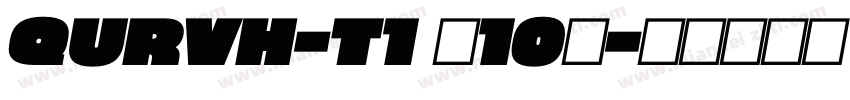 QURVH-T1 (10)字体转换
